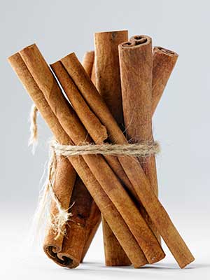 Cinnamon Spice | Iran Darchin