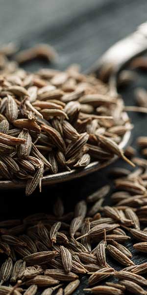 Cumin seeds