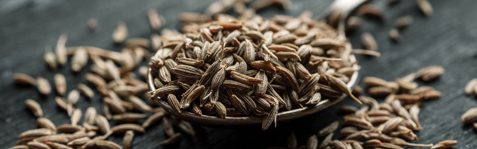 Cumin Iran Zira Spices Cumin benefits Iran Genuine Food Products