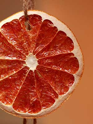 Orange | Dried Fruits