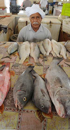 Fish Market | Hormozgan