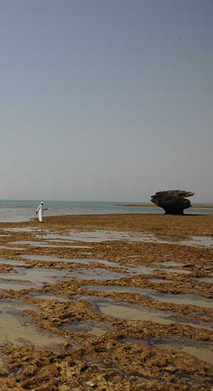 Bushehr Coast